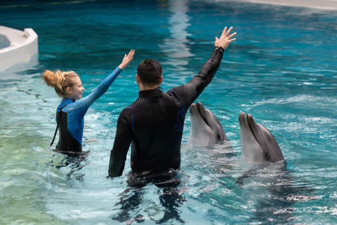 Delfinų terapija (nuotraukos autorius Janis Deinats)