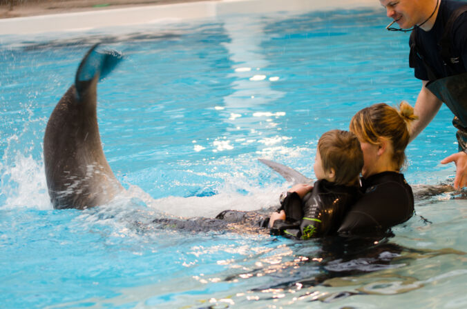 Delfinų terapija (nuotr. Miko Vitkausko)