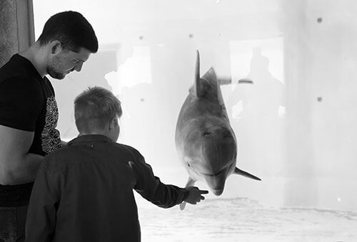 Delfinų terapija pakeitė gyvenimą: autizmo spektro sutrikimą turinti mergaitė išmoko reikšti jausmus