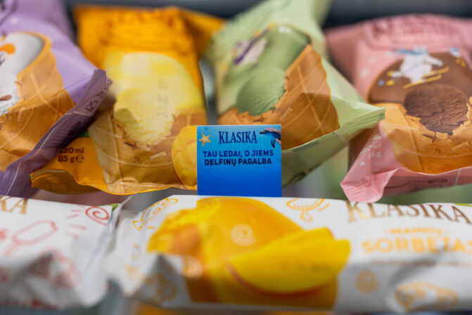 Tau ledai, o jiems delfinų pagalba (nuotr. Maximos)