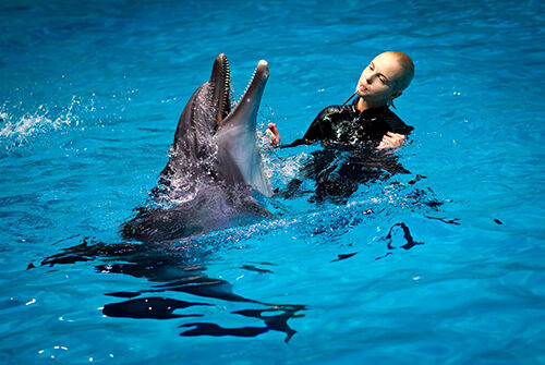 Neabejingi pirkėjai į pasimatymus su delfinais pakvietė 15-ką šeimų